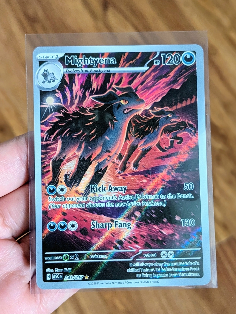 Mightyena Pokemon Card - Ascended Heroes Illustration Rare